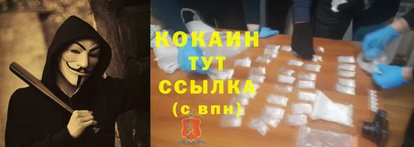 ешки Аркадак