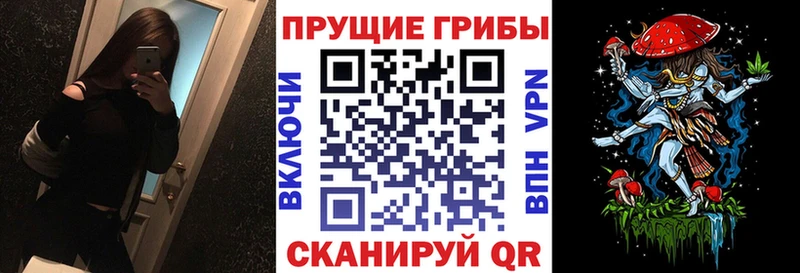 Галлюциногенные грибы MAGIC MUSHROOMS  дарк нет телеграм  Кировск 